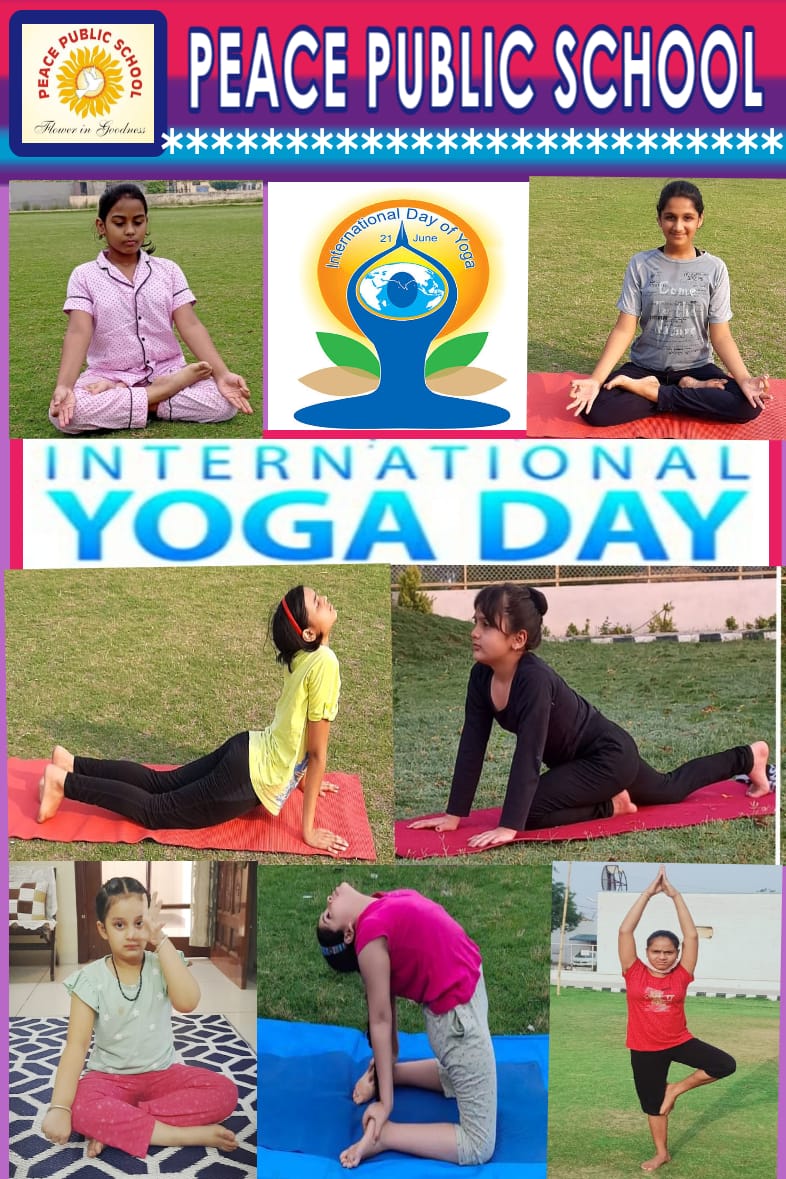 International Yoga Day Celebration